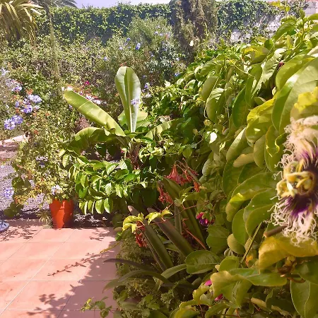 Nyaraló Casa Zorro Tazacorte
